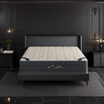 Babo Care Prime Aurora Hybrid Mattress